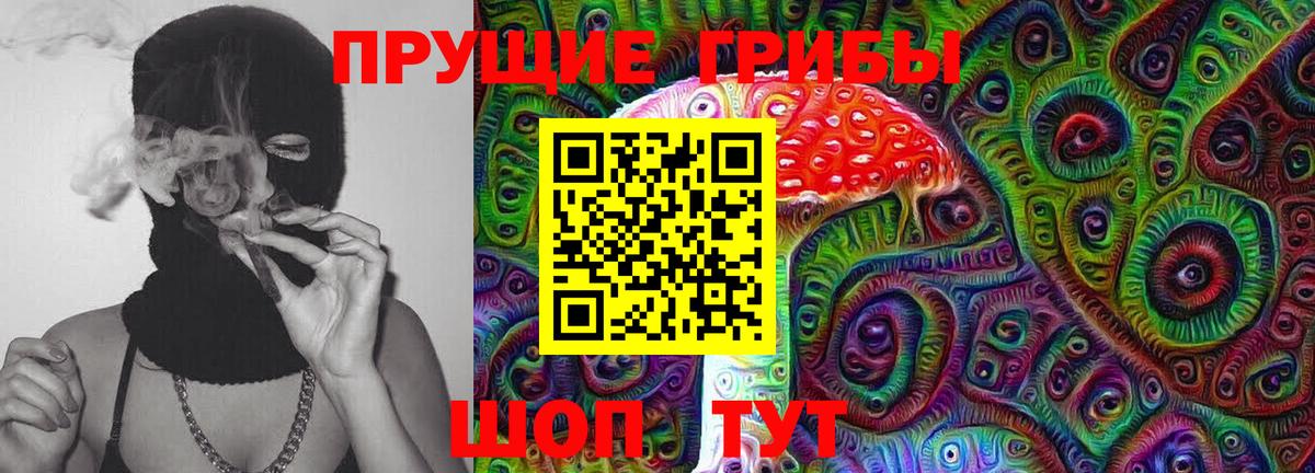 Галлюциногенные грибы Psilocybe Дубна