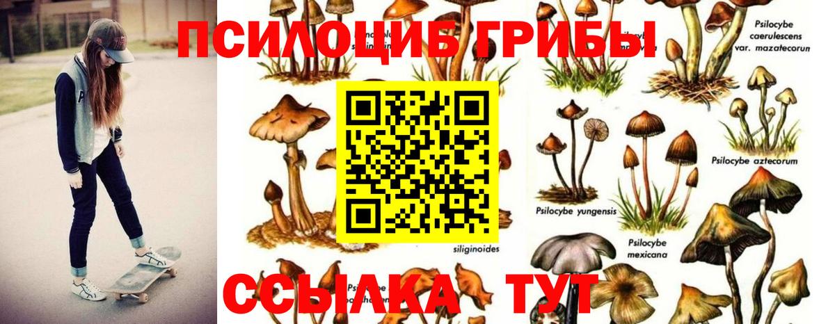 Псилоцибиновые грибы мухоморы  что такое наркотик  Дубна  Вход с VPN 